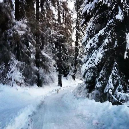 Lagorai Chalet Roncegno